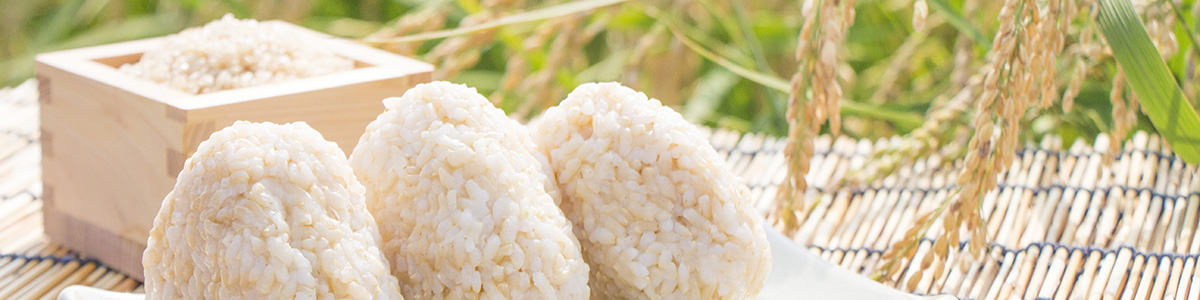 お米のレジスタントスターチが腸内環境を整える